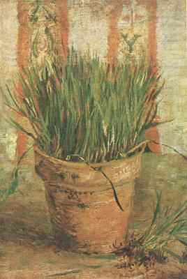 Vincent Van Gogh Flowerpot with Chives (nn04)